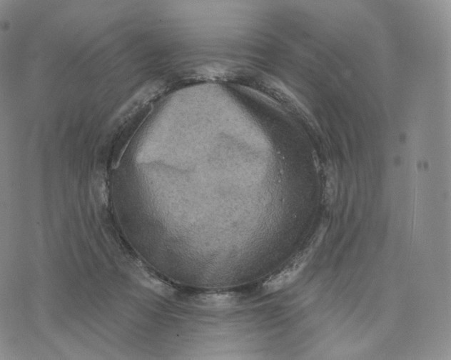 X0000076320313200610161650