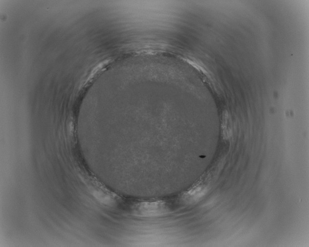 X0000076320314200610161650