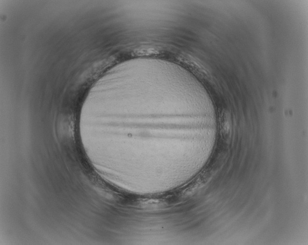 X0000076320315200610161650