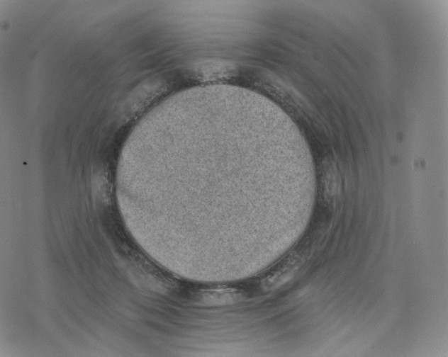 X0000076320316200610161650