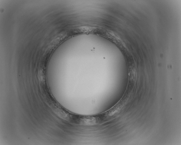 X0000076320317200610161650