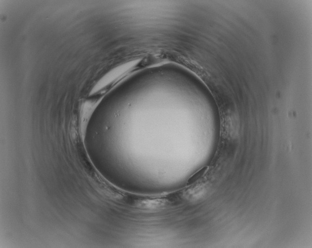 X0000076320323200610161650