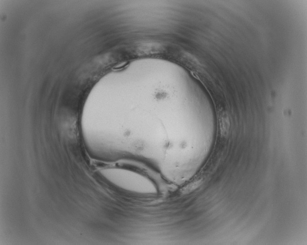 X0000076320327200610161650