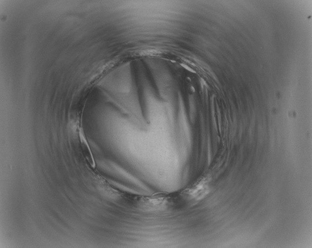 X0000076320329200610161650