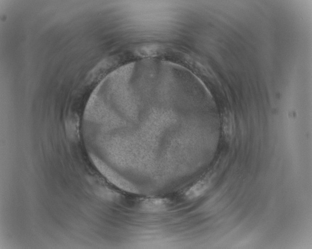 X0000076320332200610161650