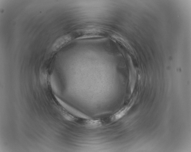 X0000076320333200610161650