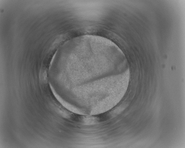 X0000076320336200610161650