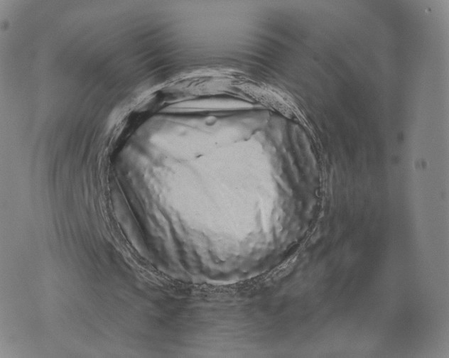 X0000076320337200610161649