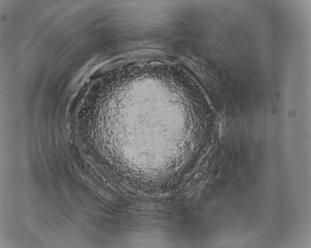 X0000076320339200610161649