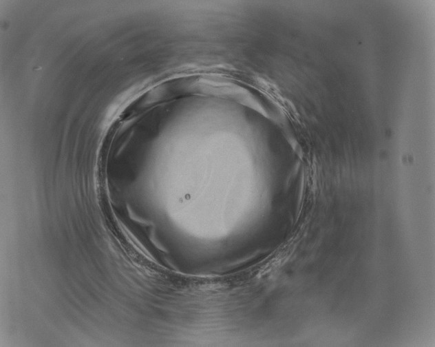 X0000076320340200610161649