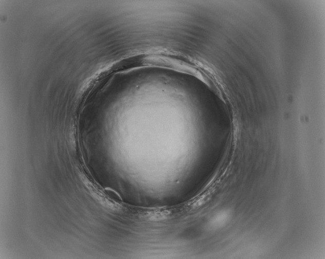 X0000076320345200610161649