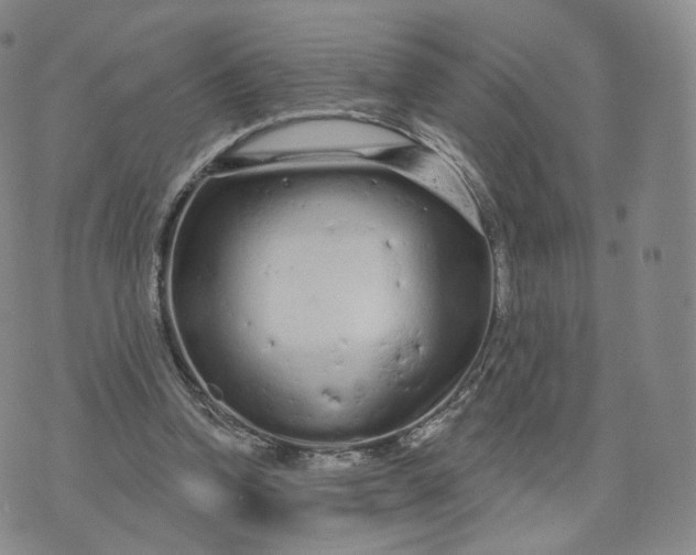 X0000076320346200610161649