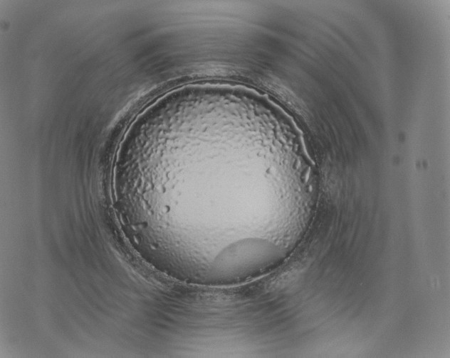 X0000076320347200610161649