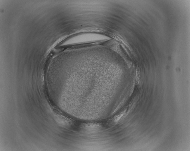 X0000076320348200610161649