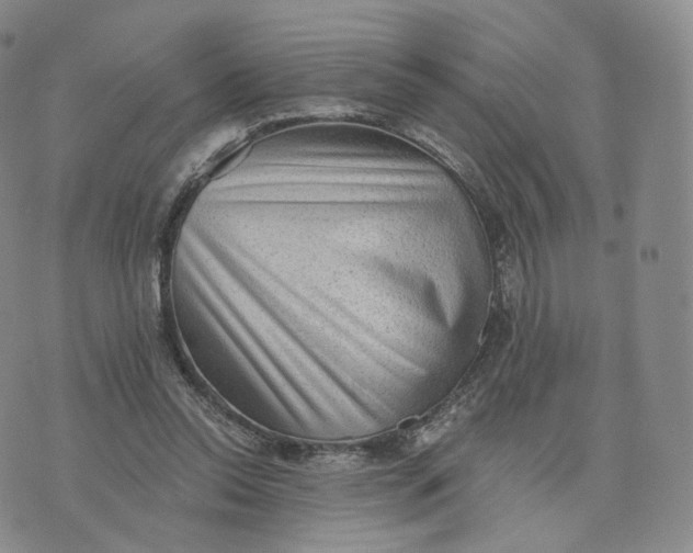 X0000076320350200610161649