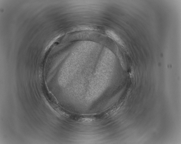 X0000076320352200610161649