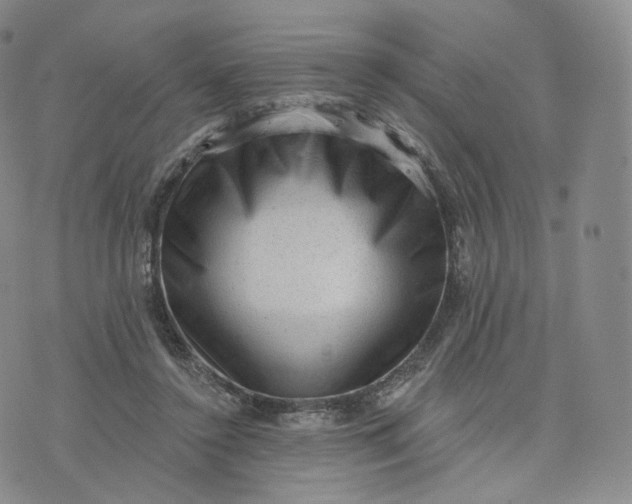 X0000076320356200610161649