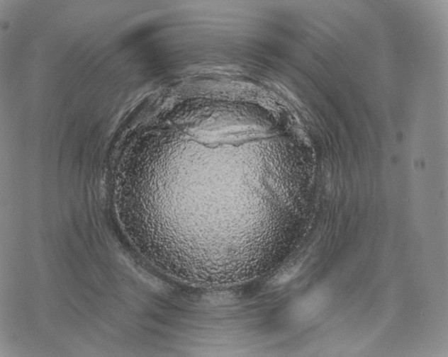 X0000076320357200610161649