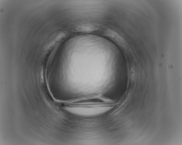 X0000076320358200610161649