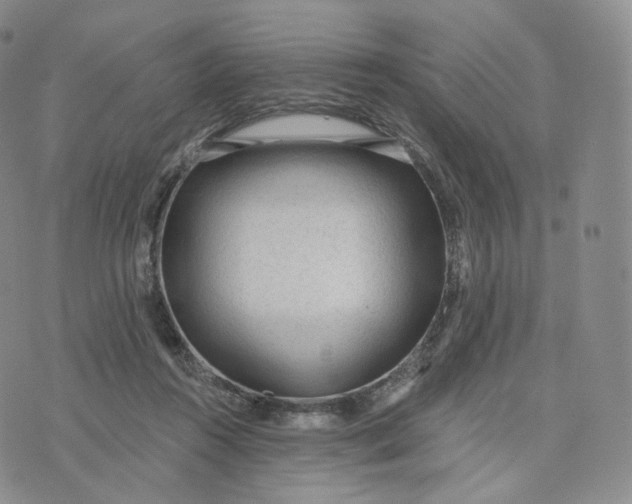 X0000076320360200610161649