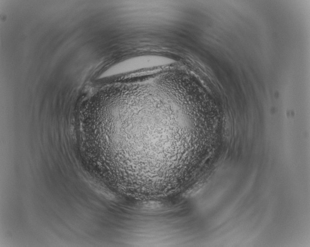 X0000076320361200610161649