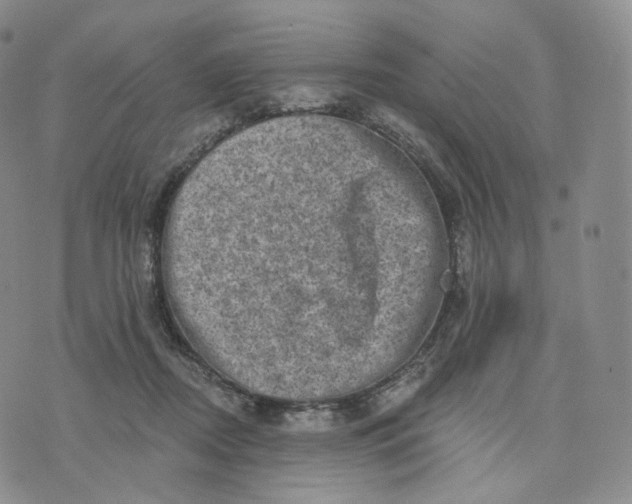 X0000076320362200610161649