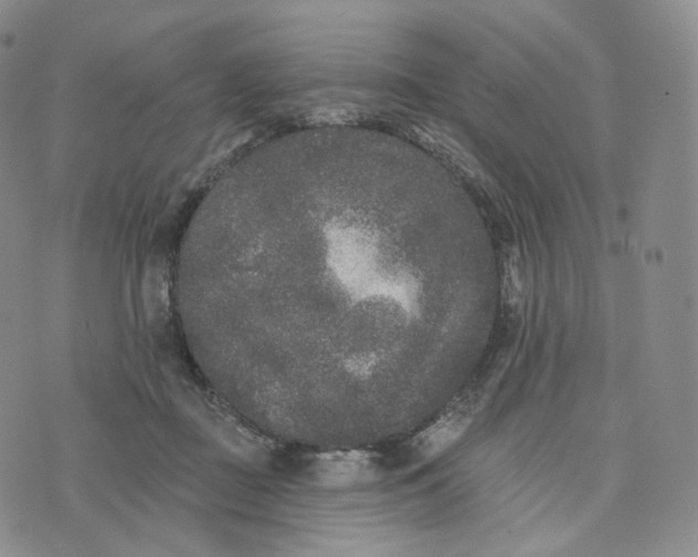 X0000076320363200610161649