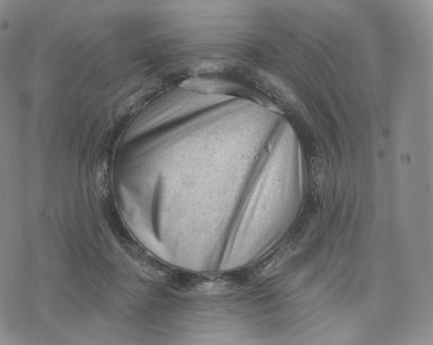 X0000076320364200610161649