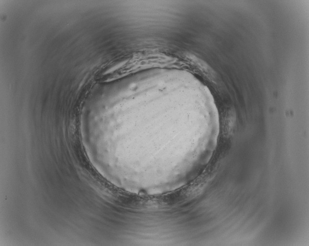 X0000076320365200610161649