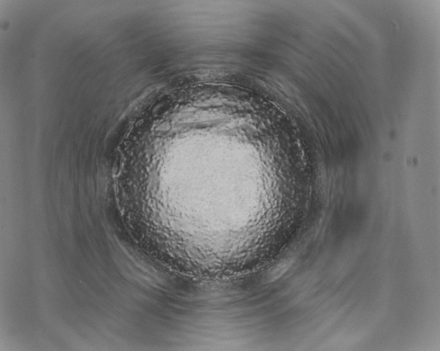 X0000076320367200610161650