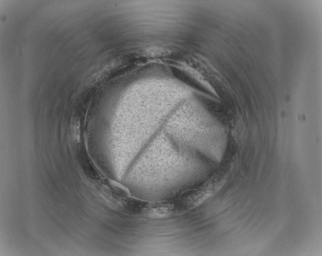 X0000076320368200610161650