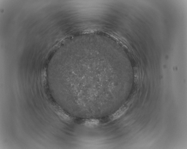 X0000076320369200610161650