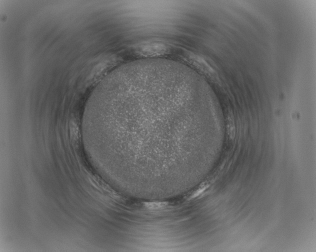 X0000076320371200610161650