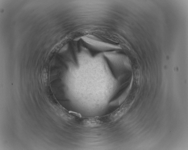 X0000076320372200610161650