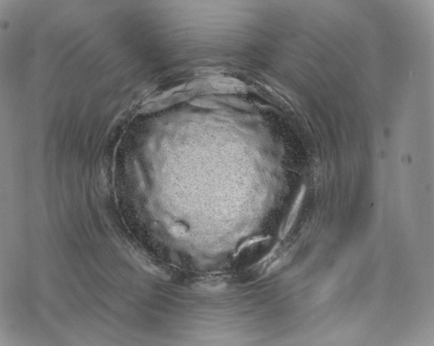 X0000076320373200610161650