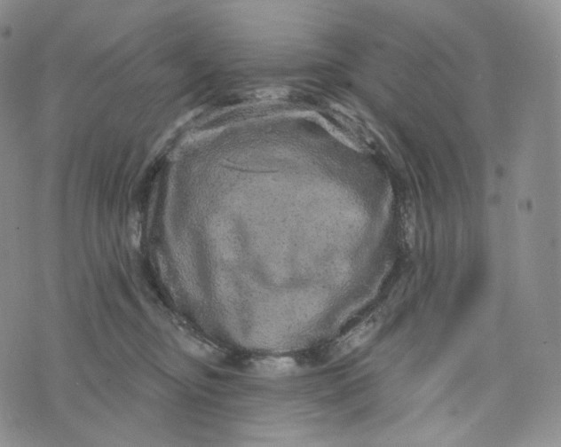 X0000076320374200610161650