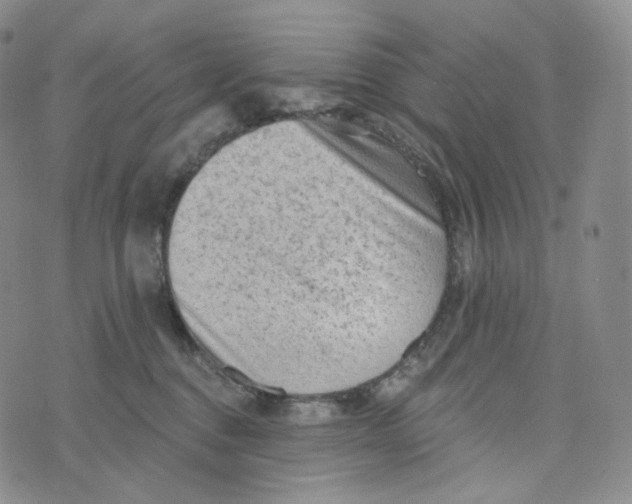 X0000076320376200610161650