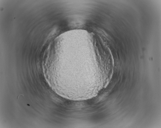 X0000076320377200610161650