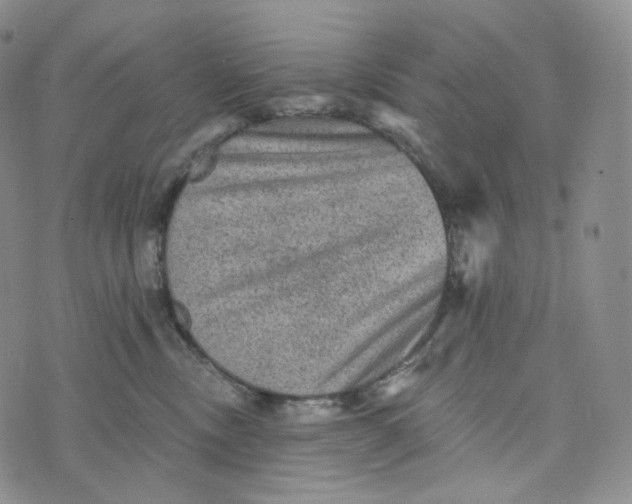 X0000076320378200610161650