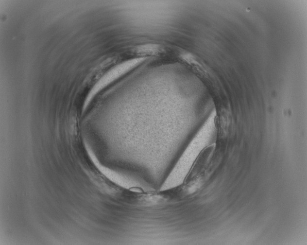 X0000076320379200610161650