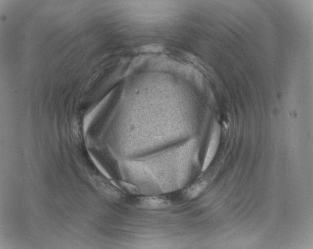 X0000076320380200610161650