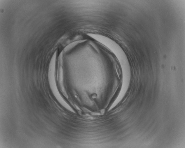 X0000076320382200610161650