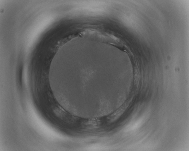 X0000076320383200610161650