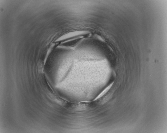 X0000076320384200610161650