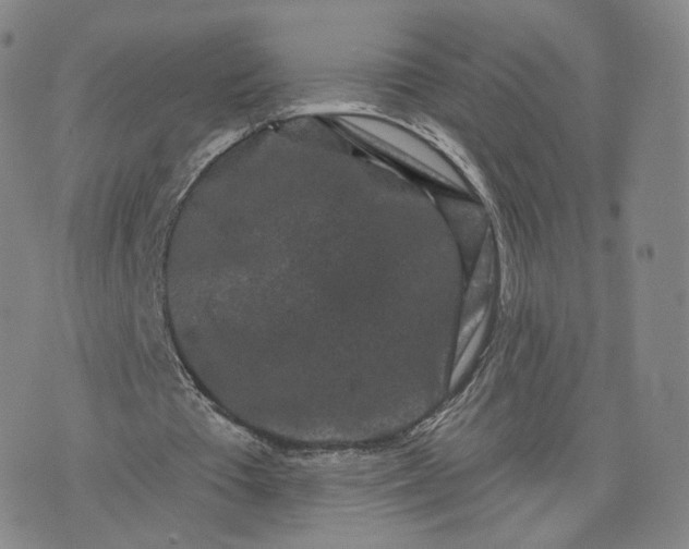 X0000076320385200610161649