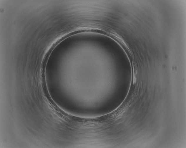 X0000076320387200610161649