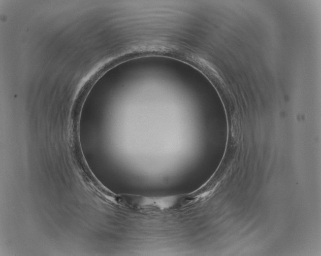 X0000076320388200610161649