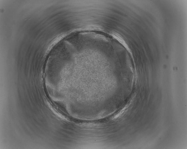 X0000076320389200610161649