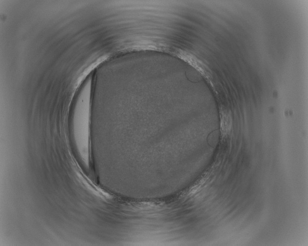 X0000076320390200610161649