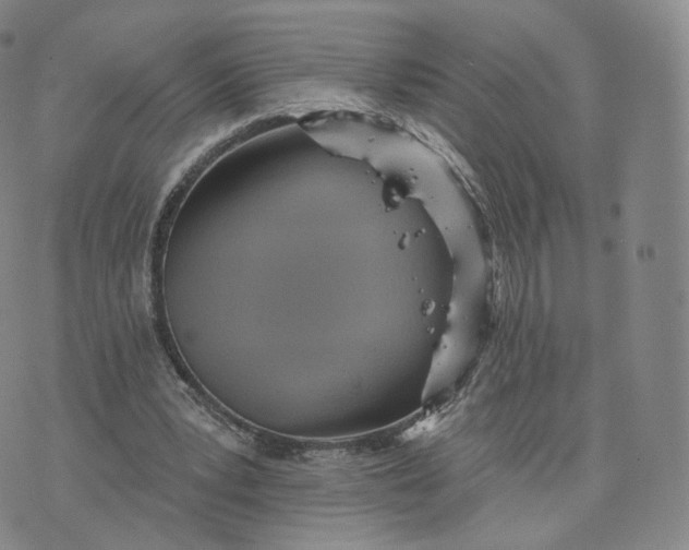 X0000076320391200610161649